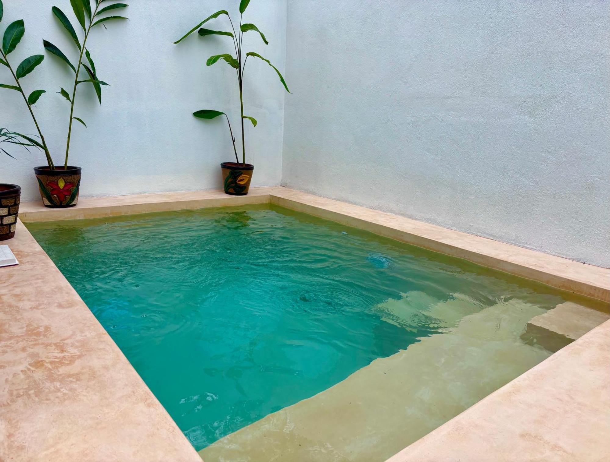 Excelente Alberca Privada En Residencial Privado, Gym, Asador Villa Ciudad Valles Exterior photo