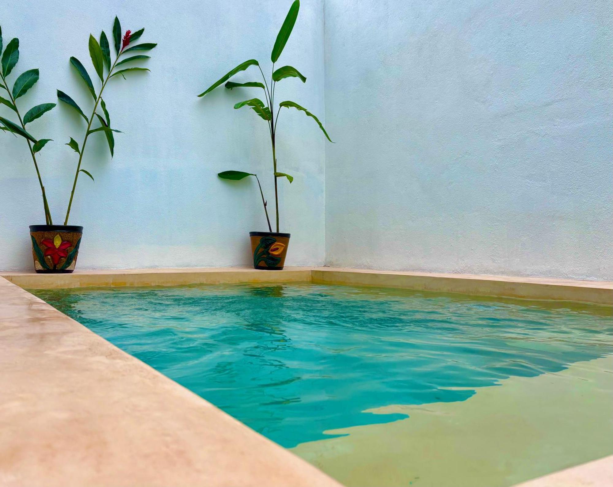 Excelente Alberca Privada En Residencial Privado, Gym, Asador Villa Ciudad Valles Exterior photo